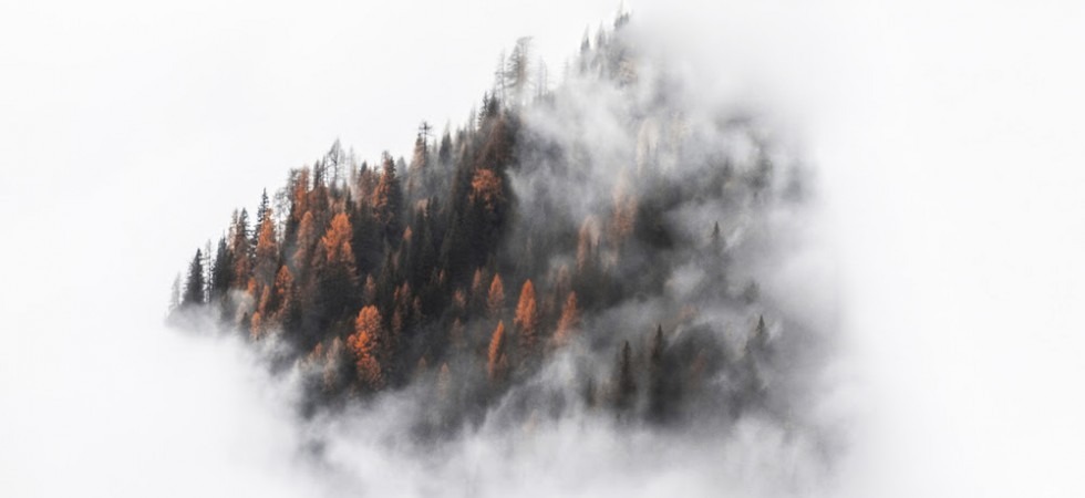 La foto di Ruggero Alberti